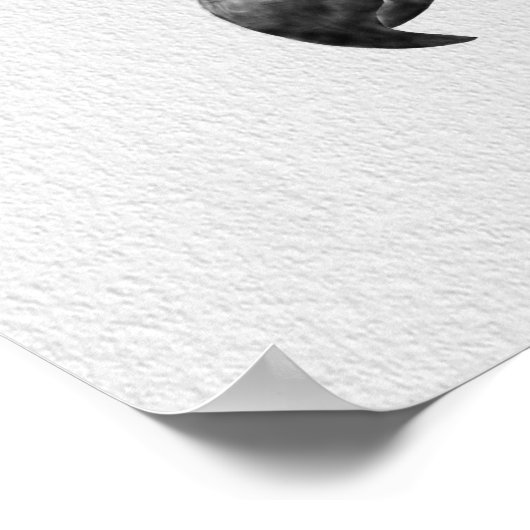 Harpy Eagle Zeichnend Poster (Ecke)