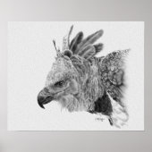 Harpy Eagle Zeichnend Poster (Vorne)