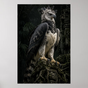 Harpyie in dunkler Regenwald-Wildlife-Wandkunst Poster