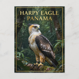 🦅 Harpyie Panama Regenwald Vogel Postkarte