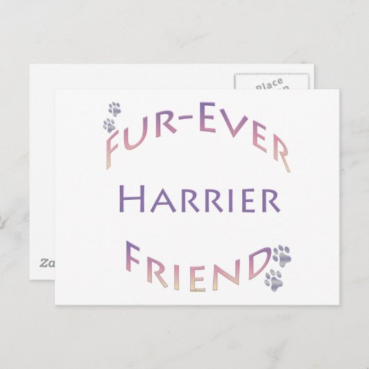 Harrier Furever Postkarte (Vorne/Hinten)