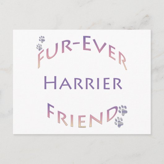 Harrier Furever Postkarte (Vorderseite)