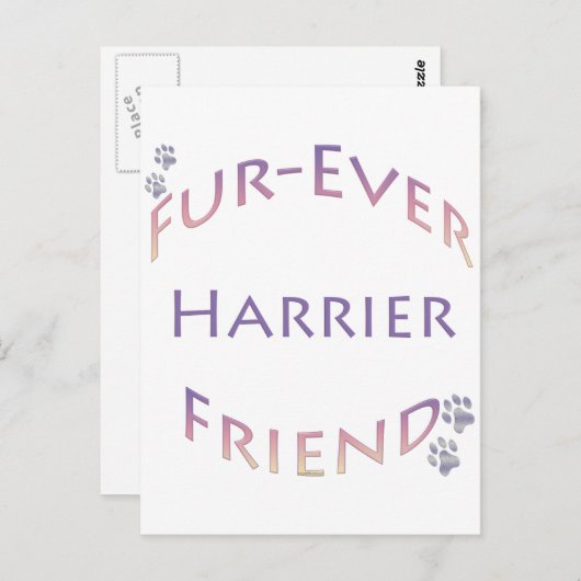 Harrier Furever Postkarte (Vorne/Hinten)