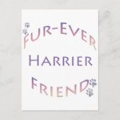Harrier Furever Postkarte (Vorderseite)