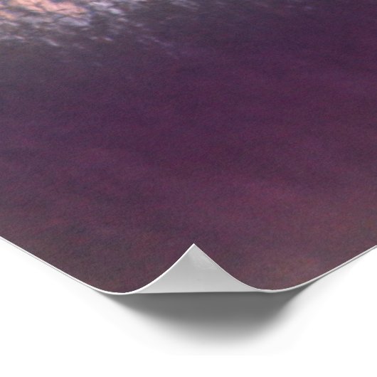 Harrier Hawk Poster (Ecke)