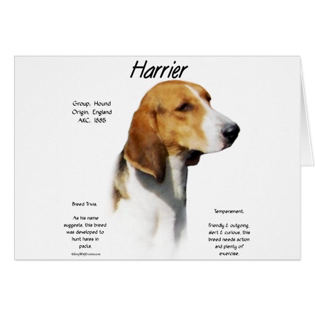 Harrier History Design (Vorderseite (Horizontal))
