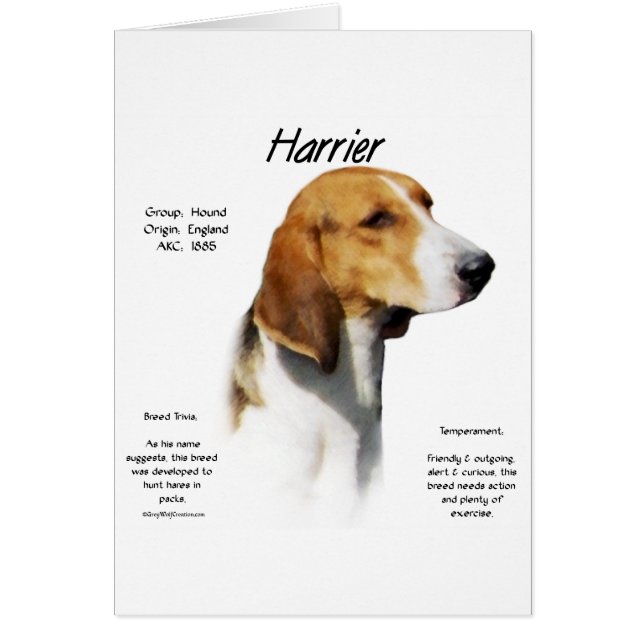 Harrier History Design (Vorne)