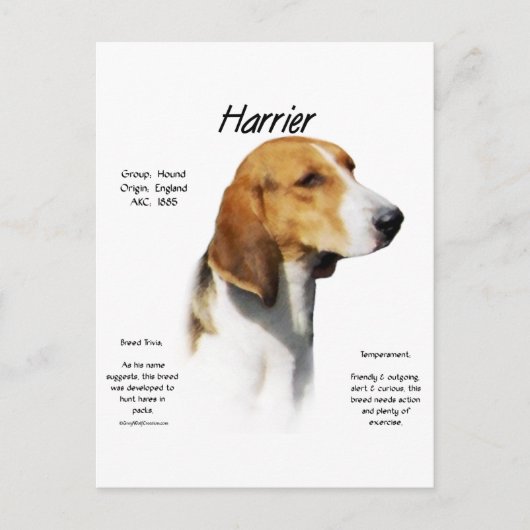 Harrier History Design Postkarte (Vorderseite)