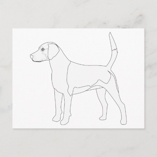 Harrier ist für die Farbgestaltung bereit Postkarte (Vorderseite)