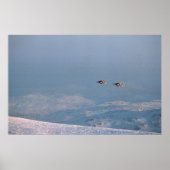 Harrier Jump Jets Poster (Vorne)