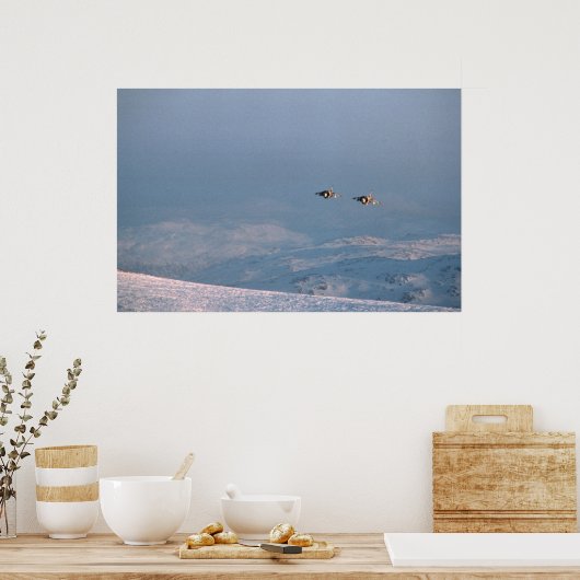 Harrier Jump Jets Poster (Küche)