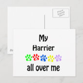 Harrier Walks Design Postkarte (Vorne/Hinten)