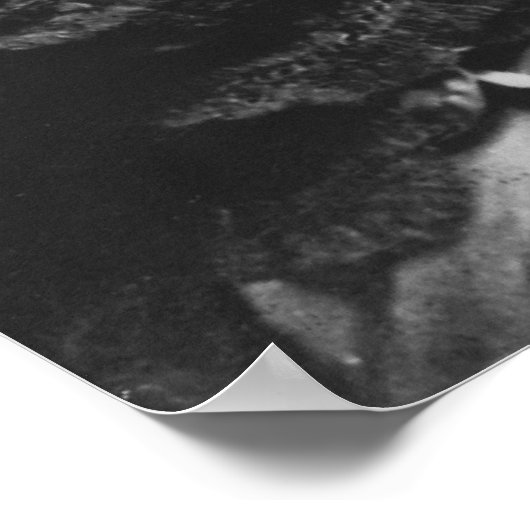 Harriet Beecher Stowe Poster (Ecke)