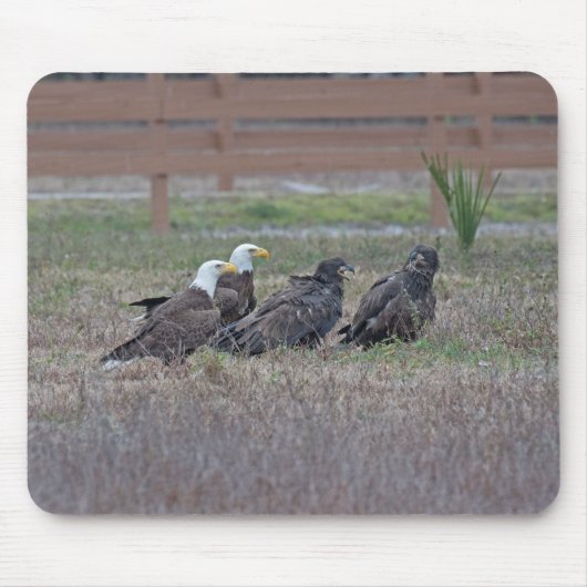 Harriet M15 E10 und E11 Mousepad (Vorne)