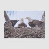 Harriet, M u. E9 Seidenpapier (Vorderseite)