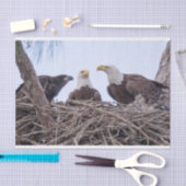 Harriet, M u. E9 Seidenpapier (Handwerk)