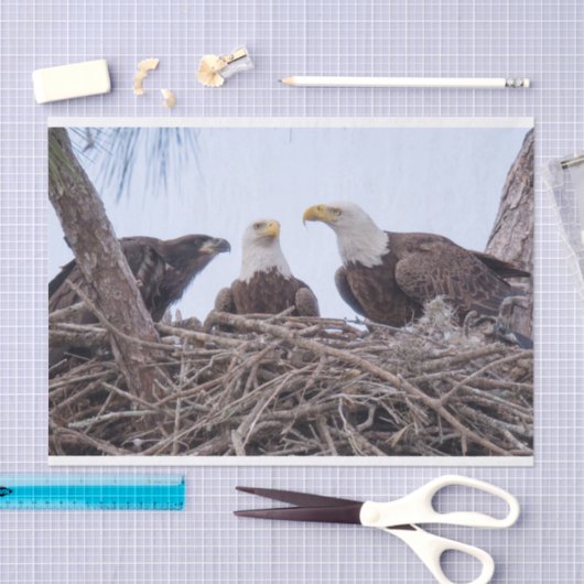 Harriet, M u. E9 Seidenpapier (Handwerk)