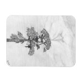 HARRIET M ZUHAUSE STORY OF FAMILY TREE OZZIE WATCH MAGNET (Horizontal)