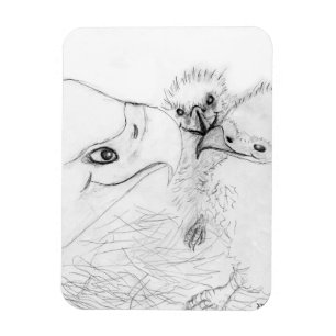 HARRIET OZZIE M ZUHAUSE STORY OF FAMILY BAUM NEUER MAGNET