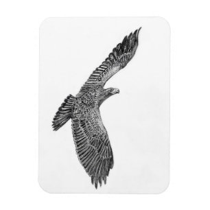 HARRIET OZZIE M ZUHAUSE STORY OF FAMILY BAUM NEUES MAGNET