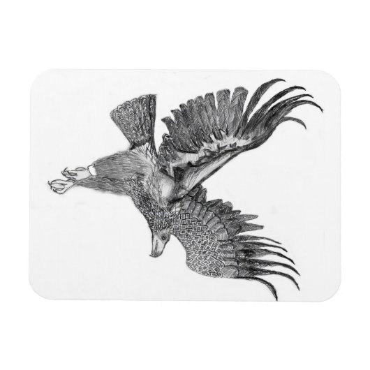 HARRIET OZZIE M ZUHAUSE STORY OF FAMILY TREE8 SOAR MAGNET (Horizontal)