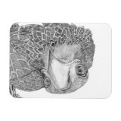 HARRIET OZZIE M ZUHAUSE STORY OF FAMILY TREE9 CAM MAGNET (Horizontal)