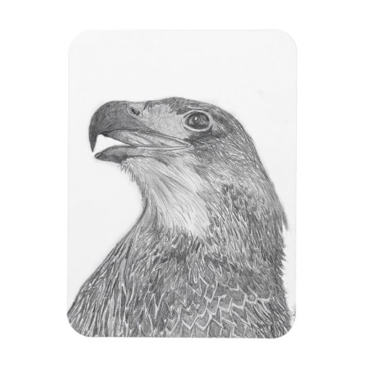 HARRIET OZZIE M ZUHAUSE STORY OF FAMILY TREE 9 LIE MAGNET (Vertikal)