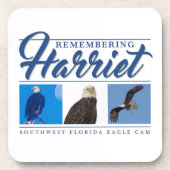 Harriet SWFL Eagle Cam Untersetzer Set (Vorderseite)