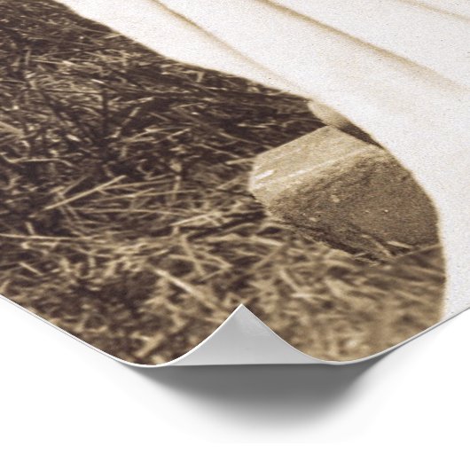 Harriet Tubman Afroamerikaner Abolitionist Poster (Ecke)