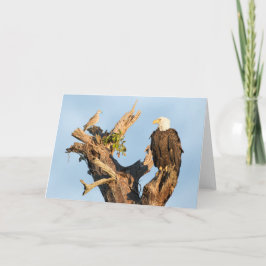 Harriet und die Taube Feiertagskarte