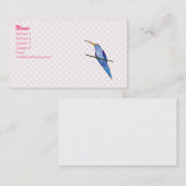 Harriot Kolibri Visitenkarte (Vorne/Hinten)