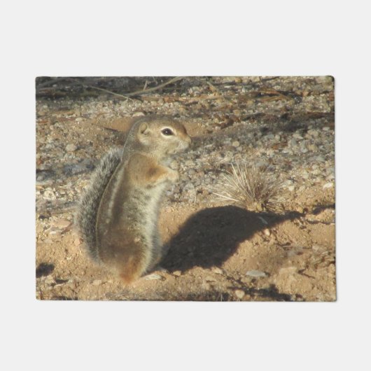 Harris-Antelope-Eichhörnchen Fußmatte (Vorderseite)