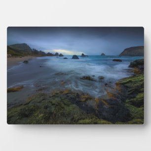 Harris Beach Staat Park Oregon Fotoplatte