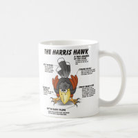 Harris-Falke-Cartoon