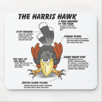 Harris-Falke-Cartoon