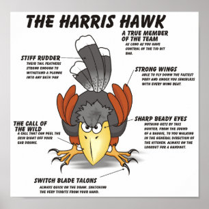 Harris-Falke-Cartoon Poster