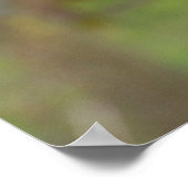 Harris-Falken Poster (Ecke)