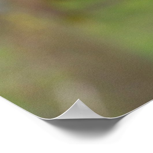 Harris-Falken Poster (Ecke)