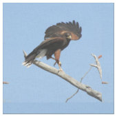 Harris feilbieten stoff (Nahaufnahme)