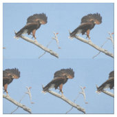 Harris feilbieten stoff (Muster)