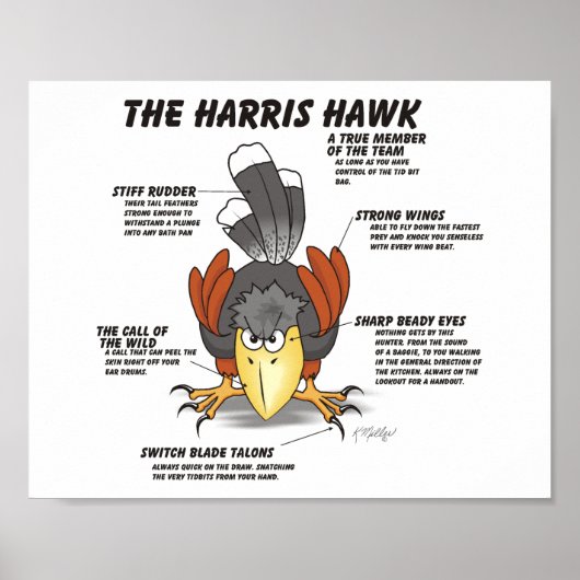 Harris-Habicht-Cartoon Poster (Vorne)