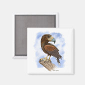 Harris Hawk auf der Lauer Cartoon	 Magnet (Vorderseite/Rückseite)