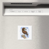 Harris Hawk auf der Lauer Cartoon	 Magnet (In Situ (Geschirrspüler))