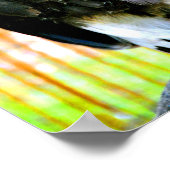 Harris Hawk Bird of Prey Poster (Ecke)