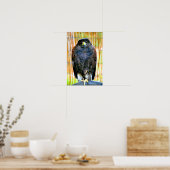Harris Hawk Bird of Prey Poster (Küche)