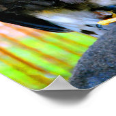 Harris Hawk Bird of Prey Poster (Ecke)