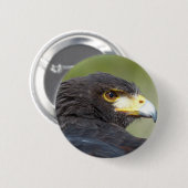 Harris Hawk Button (Vorne & Hinten)