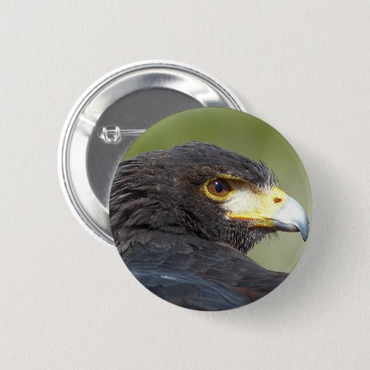 Harris Hawk Button (Vorne & Hinten)
