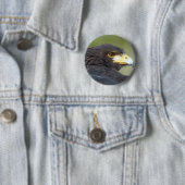 Harris Hawk Button (Beispiel)