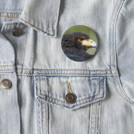 Harris Hawk Button (Beispiel)